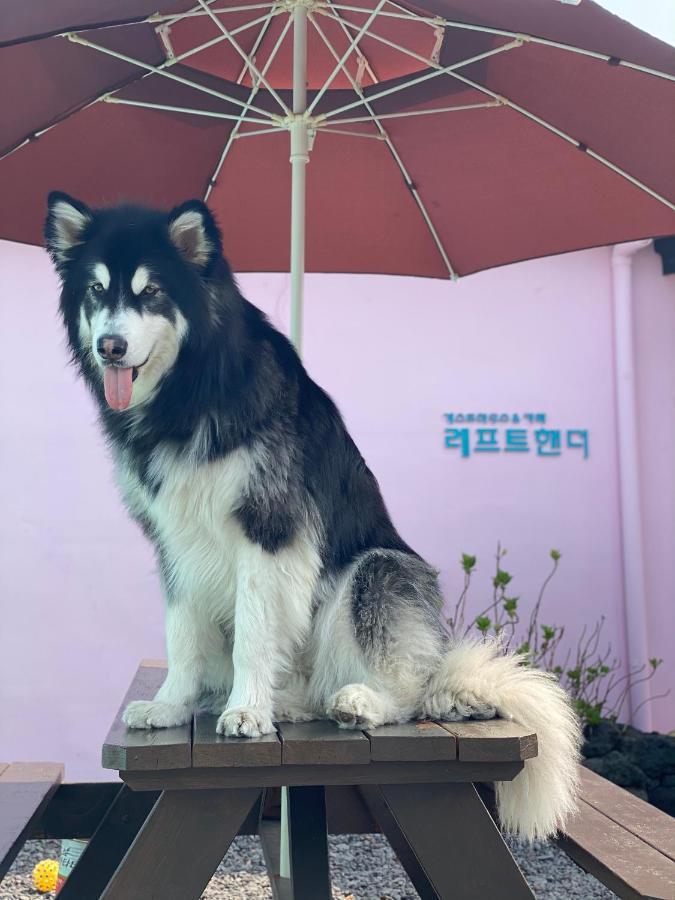 Lefthander Guesthouse Jeju Eksteriør billede